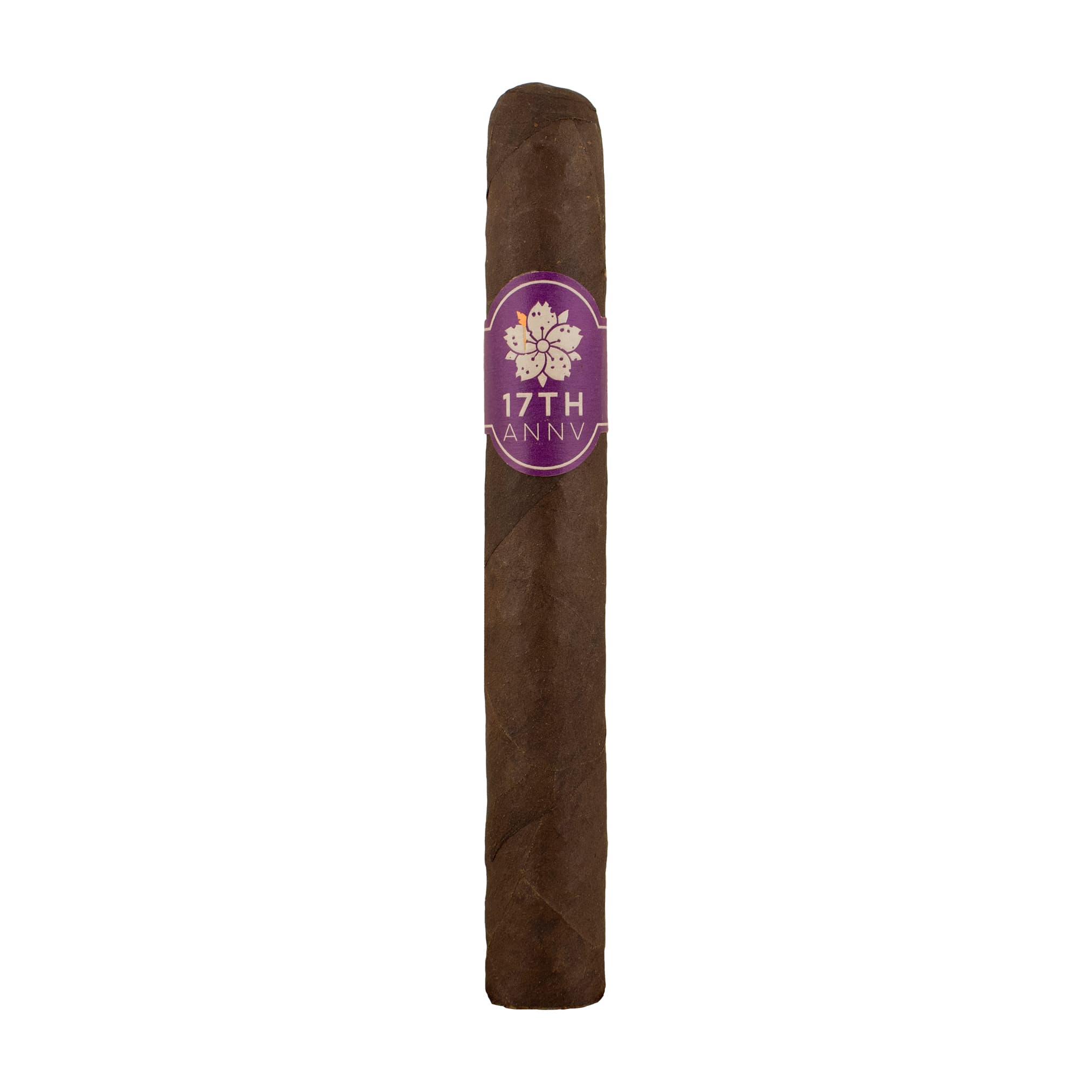 Room101 17th Anniversary Cigar Single cigar by Room101