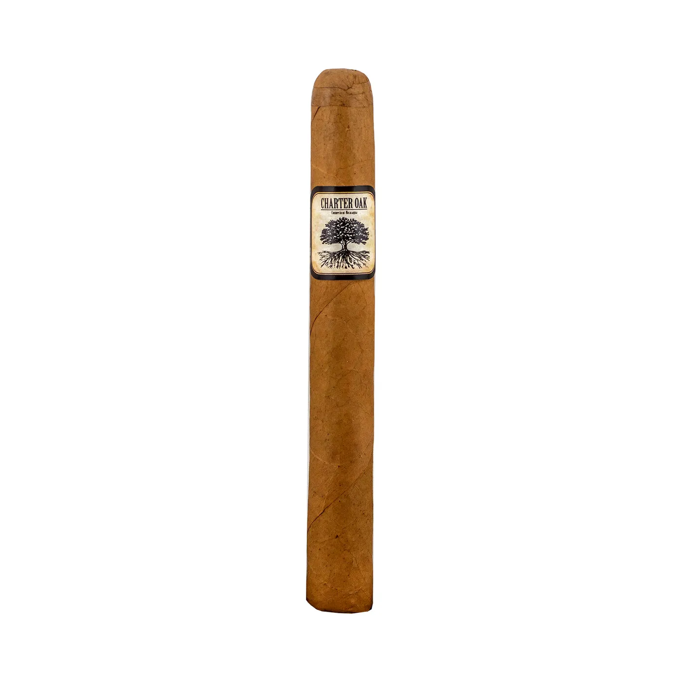 Charter Oak Connecticut Petite Corona Single cigar by Foundation Cigars