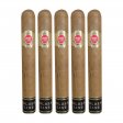 HVC Hot Cake Golden Line Laguitos #5 CT Cigar - 5 pack