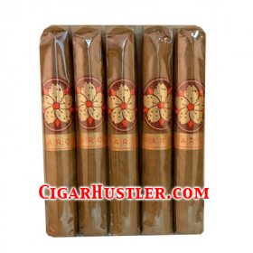 Room 101 Farce Connecticut Robusto Cigar - 5 Pack