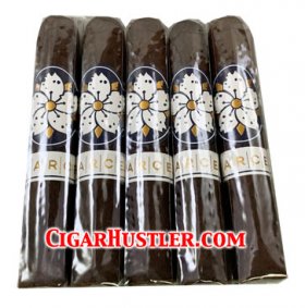 Room 101 Farce Maduro Corona Cigar - 5 Pack