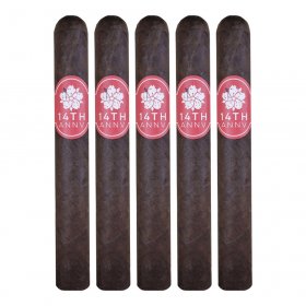 Room 101 14th Anniversary Toro Cigar - 5 pack