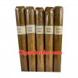 Foundation Secrect Stash Test Blend Corona Cigar - 5 Pack