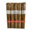 Foundation Secrect Stash Test Blend Petite Corona Cigar - 5 Pack