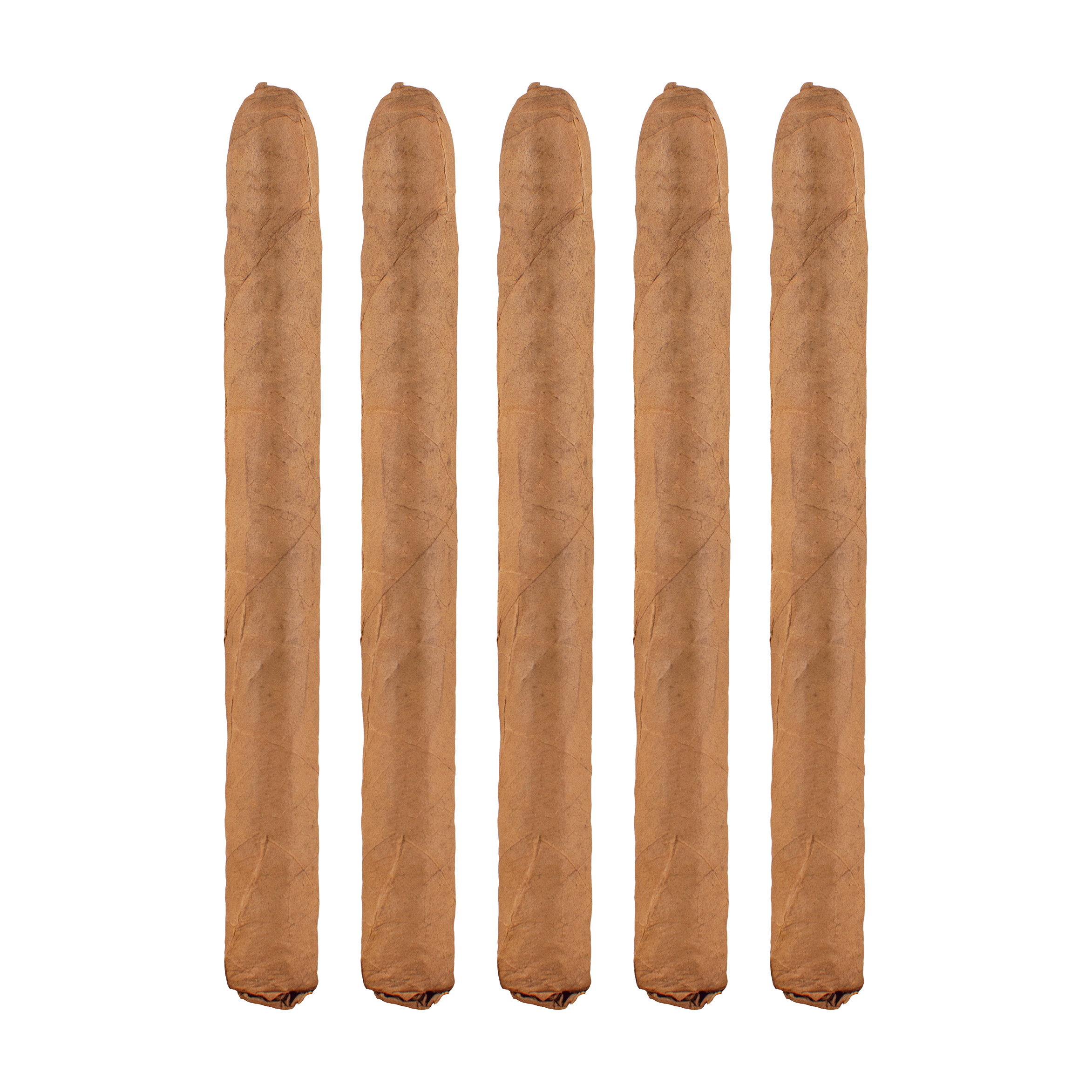 Arturo Fuente Curly Head Cigar - 5 Pack