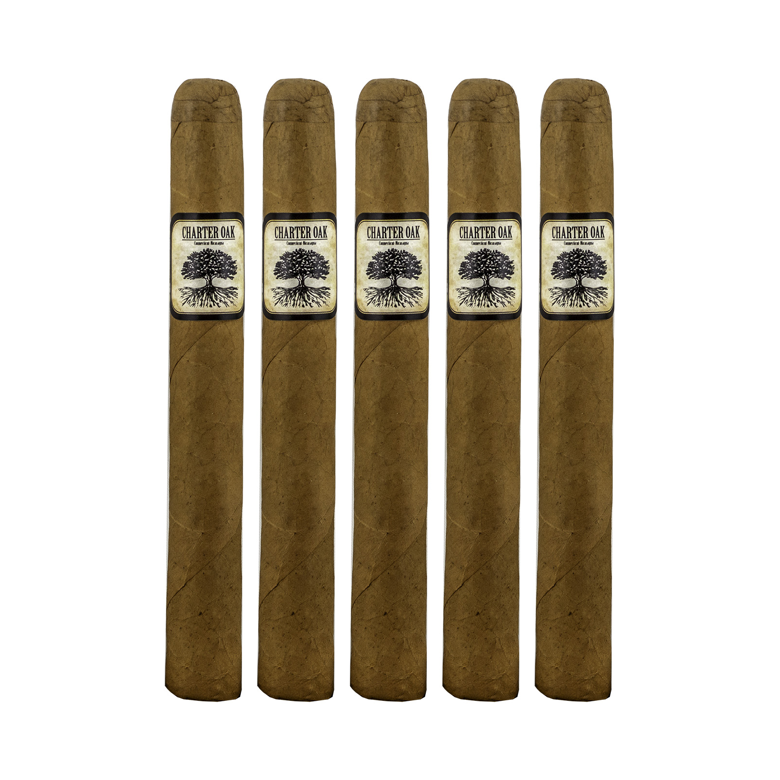 Charter Oak Connecticut Petite Corona Cigar - 5 Pack Charter Oak Connecticut Petite Corona Cigar - 5 Pack