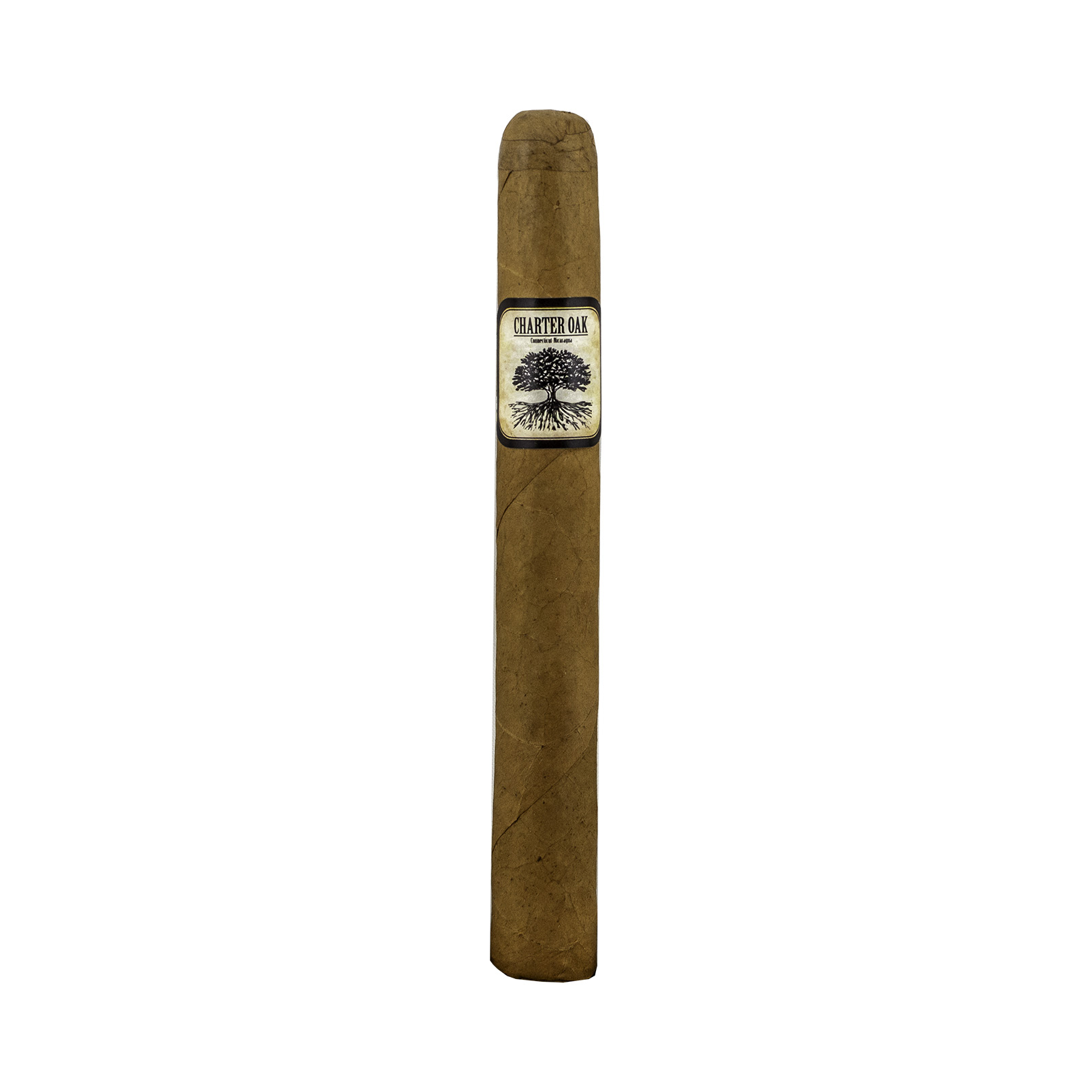 Charter Oak Connecticut Petite Corona Cigar - Single Charter Oak Connecticut Petite Corona Cigar - Single