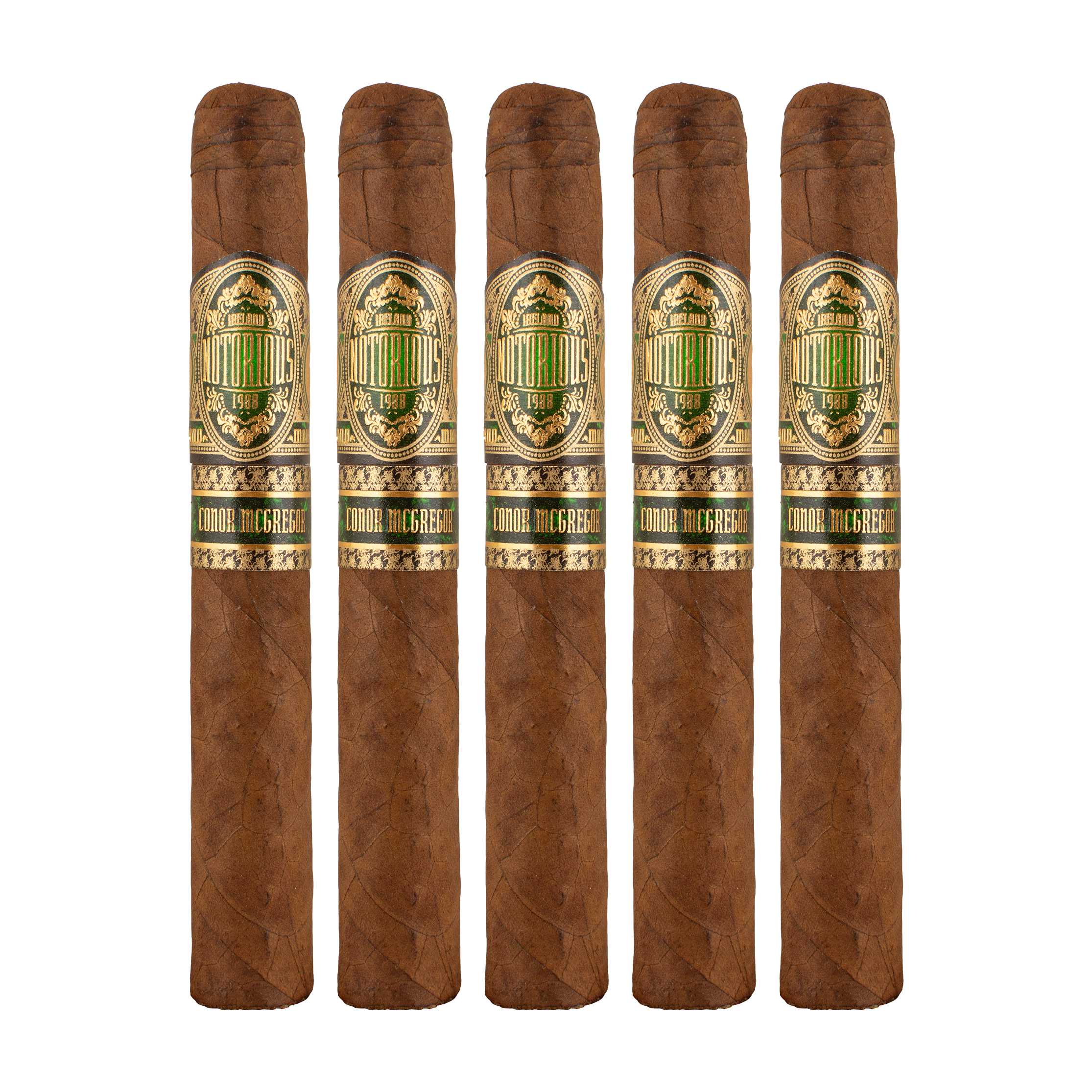 Notorious Toro Cigar - 5 Pack