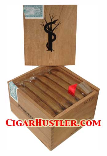 Intemperance EC XVIII Faith Short Perfecto Cigar - Single Intemperance EC XVIII Faith Short Perfecto Cigar - Single