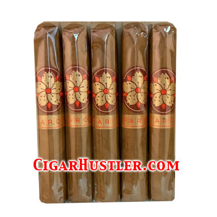 Room 101 Farce Connecticut Robusto Cigar - 5 Pack Room 101 Farce Connecticut Robusto Cigar - 5 Pack